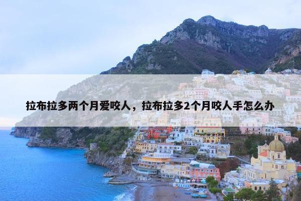 拉布拉多两个月爱咬人，拉布拉多2个月咬人手怎么办