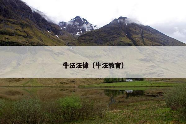 牛法法律（牛法教育）