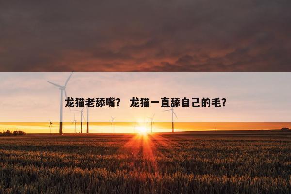 龙猫老舔嘴? 龙猫一直舔自己的毛?
