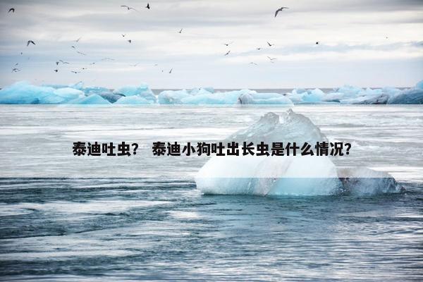 泰迪吐虫？ 泰迪小狗吐出长虫是什么情况？