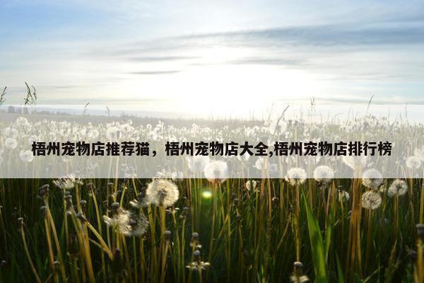 梧州宠物店推荐猫，梧州宠物店大全,梧州宠物店排行榜