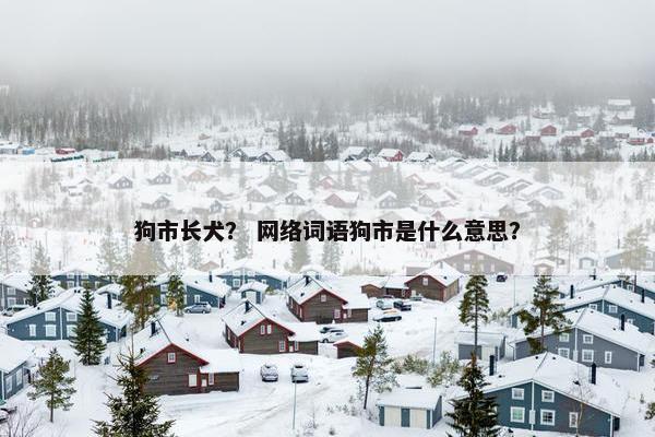 狗市长犬？ 网络词语狗市是什么意思？