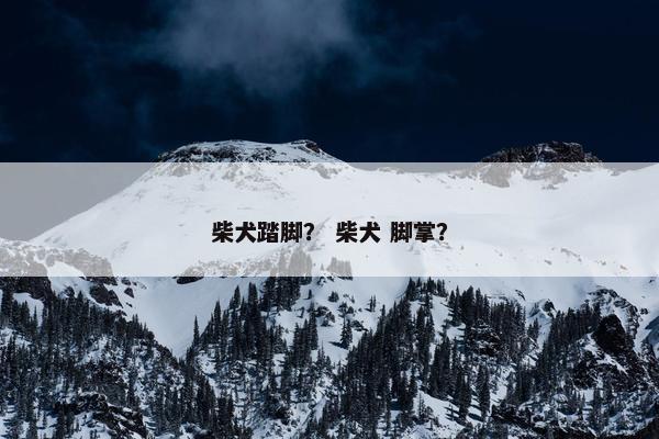 柴犬踏脚？ 柴犬 脚掌？