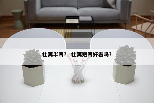 杜宾半耳？ 杜宾短耳好看吗？