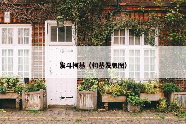 发斗柯基（柯基发腮图）