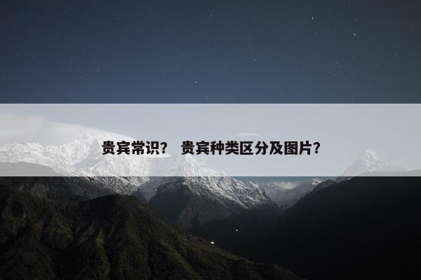 贵宾常识？ 贵宾种类区分及图片？
