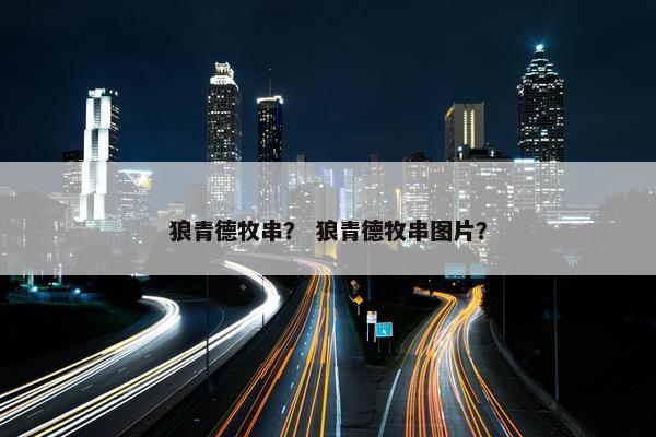 狼青德牧串？ 狼青德牧串图片？