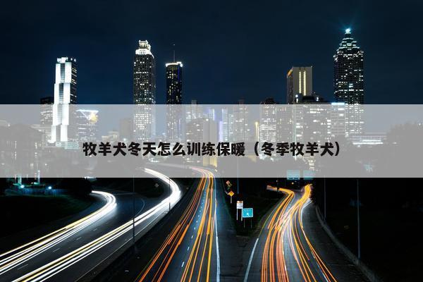 牧羊犬冬天怎么训练保暖(冬季牧羊犬)