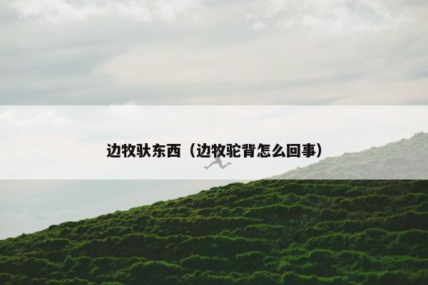 边牧驮东西(边牧驼背怎么回事)