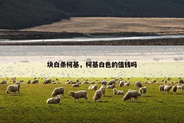 块白条柯基，柯基白色的值钱吗