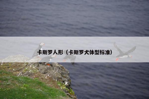卡斯罗人形（卡斯罗犬体型标准）