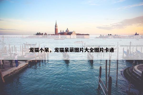 龙猫小呆，龙猫呆萌图片大全图片卡通