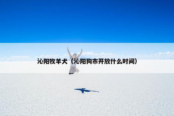 沁阳牧羊犬（沁阳狗市开放什么时间）