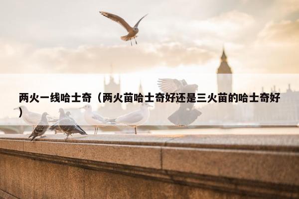 特征 第8页