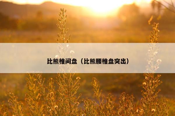 比熊椎间盘(比熊腰椎盘突出)