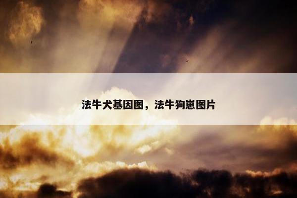 法牛犬基因图，法牛狗崽图片