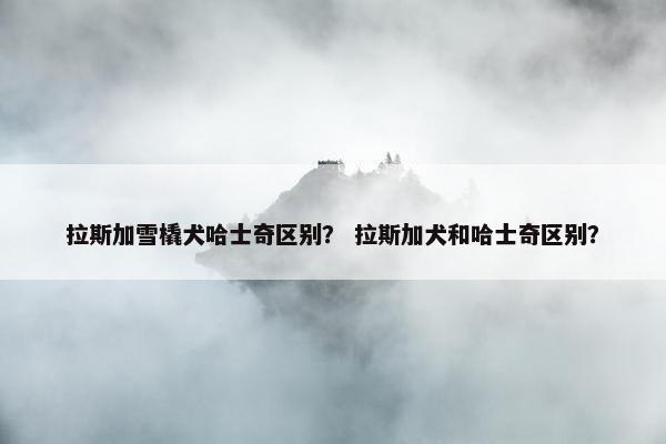 拉斯加雪橇犬哈士奇区别？ 拉斯加犬和哈士奇区别？