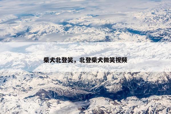 柴犬北登笑，北登柴犬微笑视频