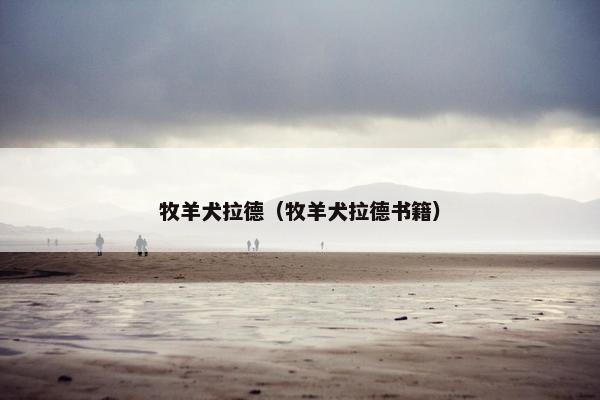 牧羊犬拉德（牧羊犬拉德书籍）