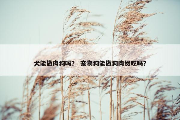 犬能做肉狗吗? 宠物狗能做狗肉煲吃吗?