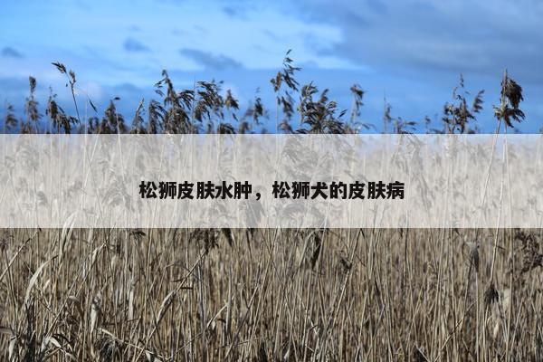 松狮皮肤水肿，松狮犬的皮肤病