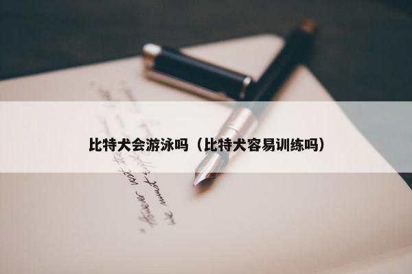 比特犬会游泳吗(比特犬容易训练吗)