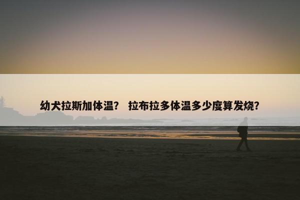 幼犬拉斯加体温? 拉布拉多体温多少度算发烧?