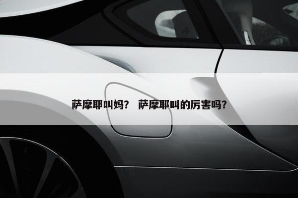 萨摩耶叫妈? 萨摩耶叫的厉害吗?