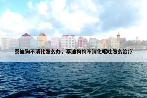 泰迪狗不消化怎么办，泰迪狗狗不消化呕吐怎么治疗