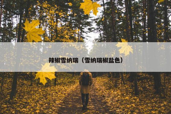 辣椒雪纳瑞(雪纳瑞椒盐色)