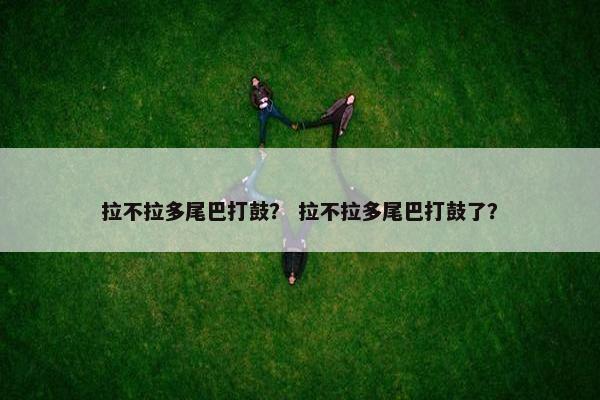 拉不拉多尾巴打鼓？ 拉不拉多尾巴打鼓了？