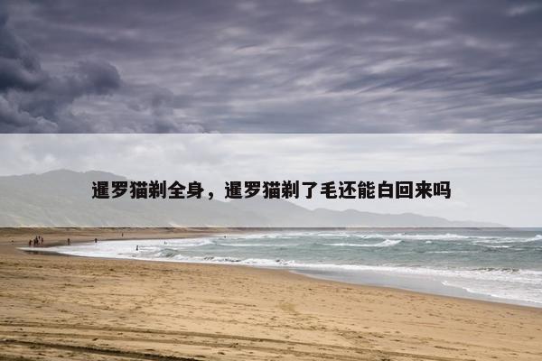 暹罗猫剃全身，暹罗猫剃了毛还能白回来吗