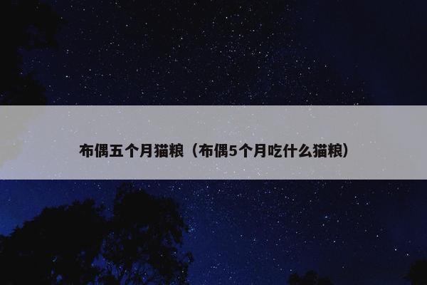 布偶五个月猫粮（布偶5个月吃什么猫粮）