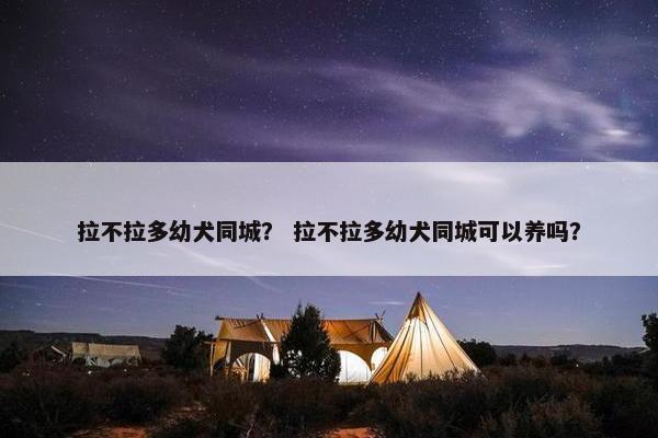 拉不拉多幼犬同城? 拉不拉多幼犬同城可以养吗?