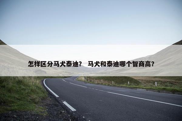 怎样区分马犬泰迪？ 马犬和泰迪哪个智商高？