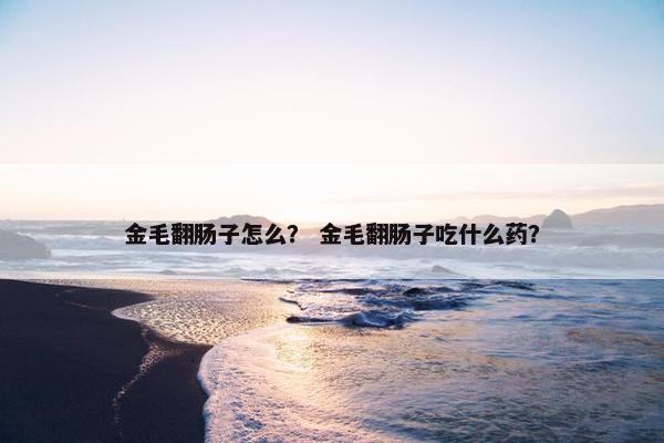 金毛翻肠子怎么？ 金毛翻肠子吃什么药？