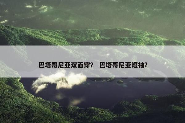 巴塔哥尼亚双面穿？ 巴塔哥尼亚短袖？
