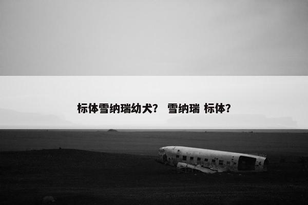 标体雪纳瑞幼犬？ 雪纳瑞 标体？