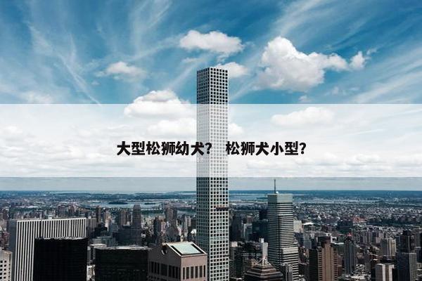 大型松狮幼犬? 松狮犬小型?