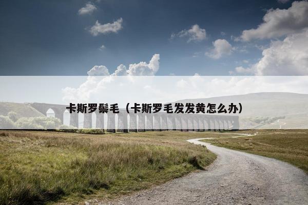 卡斯罗鬃毛（卡斯罗毛发发黄怎么办）