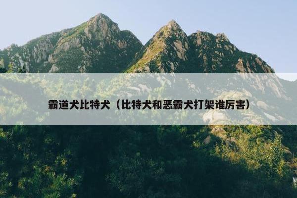 霸道犬比特犬（比特犬和恶霸犬打架谁厉害）