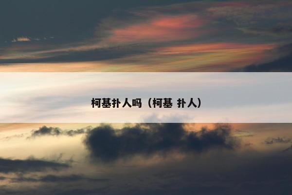 柯基扑人吗（柯基 扑人）