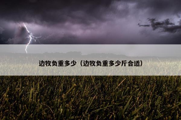 边牧负重多少（边牧负重多少斤合适）