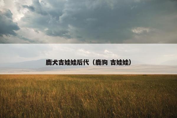 鹿犬吉娃娃后代（鹿狗 吉娃娃）