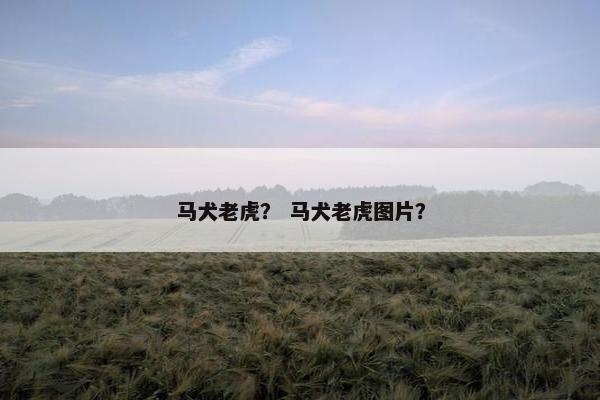 马犬老虎？ 马犬老虎图片？
