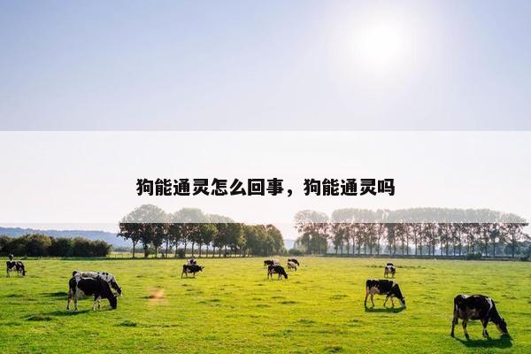 狗能通灵怎么回事，狗能通灵吗