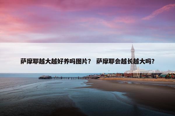 萨摩耶越大越好养吗图片？ 萨摩耶会越长越大吗？