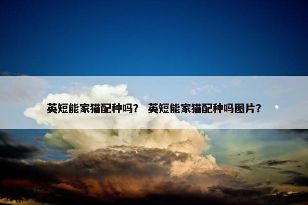 英短能家猫配种吗？ 英短能家猫配种吗图片？