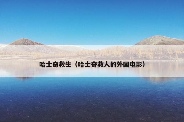 哈士奇救生(哈士奇救人的外国电影)