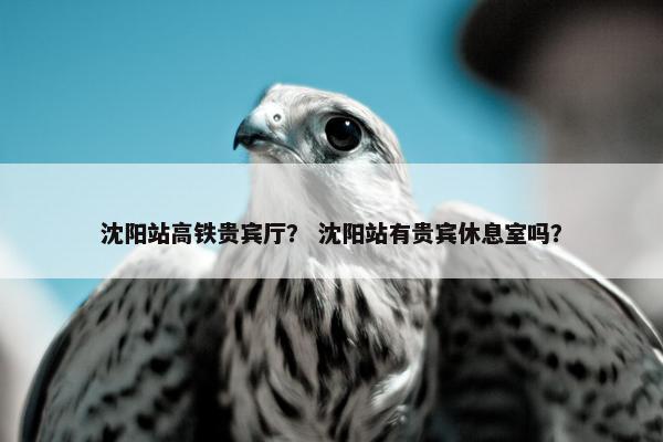 沈阳站高铁贵宾厅？ 沈阳站有贵宾休息室吗？